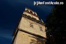 [P20] Torre de Alminar si... o portocala in pom » foto by ariciu*
 - 
<span class="allrVoted glyphicon glyphicon-heart hidden" id="av494636"></span>
<a class="m-l-10 hidden" id="sv494636" onclick="voting_Foto_DelVot(,494636,2304)" role="button">șterge vot <span class="glyphicon glyphicon-remove"></span></a>
<a id="v9494636" class=" c-red"  onclick="voting_Foto_SetVot(494636)" role="button"><span class="glyphicon glyphicon-heart-empty"></span> <b>LIKE</b> = Votează poza</a> <img class="hidden"  id="f494636W9" src="/imagini/loader.gif" border="0" /><span class="AjErrMes hidden" id="e494636ErM"></span>