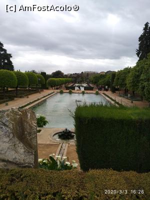 [P31]  -- <small>// FĂRĂ DESCRIERE</small> » foto by viorelgeorgescu
 - 
<span class="allrVoted glyphicon glyphicon-heart hidden" id="av1151169"></span>
<a class="m-l-10 hidden" id="sv1151169" onclick="voting_Foto_DelVot(,1151169,2304)" role="button">șterge vot <span class="glyphicon glyphicon-remove"></span></a>
<a id="v91151169" class=" c-red"  onclick="voting_Foto_SetVot(1151169)" role="button"><span class="glyphicon glyphicon-heart-empty"></span> <b>LIKE</b> = Votează poza</a> <img class="hidden"  id="f1151169W9" src="/imagini/loader.gif" border="0" /><span class="AjErrMes hidden" id="e1151169ErM"></span>