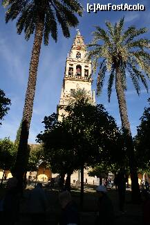 [P18] Torre de Alminar, turnul-clopotniţă de la Mezquita Catedral » foto by Costi
 - 
<span class="allrVoted glyphicon glyphicon-heart hidden" id="av188876"></span>
<a class="m-l-10 hidden" id="sv188876" onclick="voting_Foto_DelVot(,188876,2304)" role="button">șterge vot <span class="glyphicon glyphicon-remove"></span></a>
<a id="v9188876" class=" c-red"  onclick="voting_Foto_SetVot(188876)" role="button"><span class="glyphicon glyphicon-heart-empty"></span> <b>LIKE</b> = Votează poza</a> <img class="hidden"  id="f188876W9" src="/imagini/loader.gif" border="0" /><span class="AjErrMes hidden" id="e188876ErM"></span>