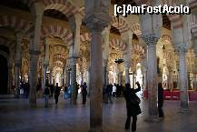 [P19] Printre cele peste 1000 de coloane ale Catedralei moschee » foto by Costi
 - 
<span class="allrVoted glyphicon glyphicon-heart hidden" id="av188877"></span>
<a class="m-l-10 hidden" id="sv188877" onclick="voting_Foto_DelVot(,188877,2304)" role="button">șterge vot <span class="glyphicon glyphicon-remove"></span></a>
<a id="v9188877" class=" c-red"  onclick="voting_Foto_SetVot(188877)" role="button"><span class="glyphicon glyphicon-heart-empty"></span> <b>LIKE</b> = Votează poza</a> <img class="hidden"  id="f188877W9" src="/imagini/loader.gif" border="0" /><span class="AjErrMes hidden" id="e188877ErM"></span>