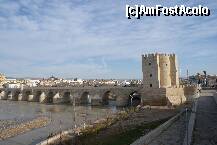[P08] Torre de la Calahorra şi Puente Romano, peste Guadalquivir » foto by Costi
 - 
<span class="allrVoted glyphicon glyphicon-heart hidden" id="av188858"></span>
<a class="m-l-10 hidden" id="sv188858" onclick="voting_Foto_DelVot(,188858,2304)" role="button">șterge vot <span class="glyphicon glyphicon-remove"></span></a>
<a id="v9188858" class=" c-red"  onclick="voting_Foto_SetVot(188858)" role="button"><span class="glyphicon glyphicon-heart-empty"></span> <b>LIKE</b> = Votează poza</a> <img class="hidden"  id="f188858W9" src="/imagini/loader.gif" border="0" /><span class="AjErrMes hidden" id="e188858ErM"></span>