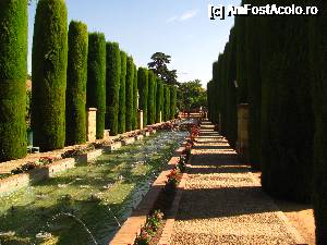 [P16] Alcázar de los Reyes Cristianos » foto by Radu Tudoran
 - 
<span class="allrVoted glyphicon glyphicon-heart hidden" id="av693663"></span>
<a class="m-l-10 hidden" id="sv693663" onclick="voting_Foto_DelVot(,693663,2304)" role="button">șterge vot <span class="glyphicon glyphicon-remove"></span></a>
<a id="v9693663" class=" c-red"  onclick="voting_Foto_SetVot(693663)" role="button"><span class="glyphicon glyphicon-heart-empty"></span> <b>LIKE</b> = Votează poza</a> <img class="hidden"  id="f693663W9" src="/imagini/loader.gif" border="0" /><span class="AjErrMes hidden" id="e693663ErM"></span>