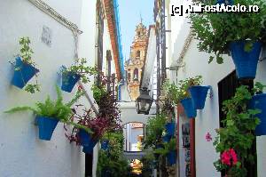 [P09] Calleja de las Flores. In fndal se vede turla de la Mezquita » foto by Radu Tudoran
 - 
<span class="allrVoted glyphicon glyphicon-heart hidden" id="av693656"></span>
<a class="m-l-10 hidden" id="sv693656" onclick="voting_Foto_DelVot(,693656,2304)" role="button">șterge vot <span class="glyphicon glyphicon-remove"></span></a>
<a id="v9693656" class=" c-red"  onclick="voting_Foto_SetVot(693656)" role="button"><span class="glyphicon glyphicon-heart-empty"></span> <b>LIKE</b> = Votează poza</a> <img class="hidden"  id="f693656W9" src="/imagini/loader.gif" border="0" /><span class="AjErrMes hidden" id="e693656ErM"></span>