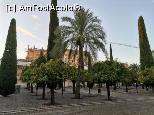 [P16] Mezquita privită din Patio de los Naranjos » foto by Marius 72
 - 
<span class="allrVoted glyphicon glyphicon-heart hidden" id="av1274177"></span>
<a class="m-l-10 hidden" id="sv1274177" onclick="voting_Foto_DelVot(,1274177,2304)" role="button">șterge vot <span class="glyphicon glyphicon-remove"></span></a>
<a id="v91274177" class=" c-red"  onclick="voting_Foto_SetVot(1274177)" role="button"><span class="glyphicon glyphicon-heart-empty"></span> <b>LIKE</b> = Votează poza</a> <img class="hidden"  id="f1274177W9" src="/imagini/loader.gif" border="0" /><span class="AjErrMes hidden" id="e1274177ErM"></span>