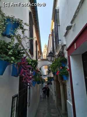 [P23] Calleja de las Flores dimineața » foto by Marius 72
 - 
<span class="allrVoted glyphicon glyphicon-heart hidden" id="av1274184"></span>
<a class="m-l-10 hidden" id="sv1274184" onclick="voting_Foto_DelVot(,1274184,2304)" role="button">șterge vot <span class="glyphicon glyphicon-remove"></span></a>
<a id="v91274184" class=" c-red"  onclick="voting_Foto_SetVot(1274184)" role="button"><span class="glyphicon glyphicon-heart-empty"></span> <b>LIKE</b> = Votează poza</a> <img class="hidden"  id="f1274184W9" src="/imagini/loader.gif" border="0" /><span class="AjErrMes hidden" id="e1274184ErM"></span>