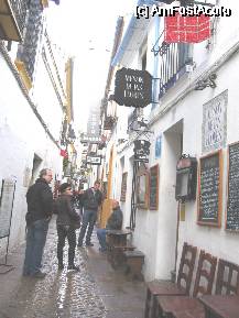 [P21] Cordoba- strada pietonala. » foto by Michi
 - 
<span class="allrVoted glyphicon glyphicon-heart hidden" id="av74957"></span>
<a class="m-l-10 hidden" id="sv74957" onclick="voting_Foto_DelVot(,74957,2304)" role="button">șterge vot <span class="glyphicon glyphicon-remove"></span></a>
<a id="v974957" class=" c-red"  onclick="voting_Foto_SetVot(74957)" role="button"><span class="glyphicon glyphicon-heart-empty"></span> <b>LIKE</b> = Votează poza</a> <img class="hidden"  id="f74957W9" src="/imagini/loader.gif" border="0" /><span class="AjErrMes hidden" id="e74957ErM"></span>