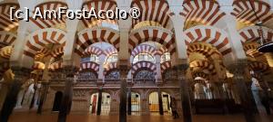[P34] Interior Mezquita » foto by irinad
 - 
<span class="allrVoted glyphicon glyphicon-heart hidden" id="av1433002"></span>
<a class="m-l-10 hidden" id="sv1433002" onclick="voting_Foto_DelVot(,1433002,2304)" role="button">șterge vot <span class="glyphicon glyphicon-remove"></span></a>
<a id="v91433002" class=" c-red"  onclick="voting_Foto_SetVot(1433002)" role="button"><span class="glyphicon glyphicon-heart-empty"></span> <b>LIKE</b> = Votează poza</a> <img class="hidden"  id="f1433002W9" src="/imagini/loader.gif" border="0" /><span class="AjErrMes hidden" id="e1433002ErM"></span>