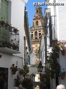 [P06] Cordoba -calleja de la flores- » foto by buburuzica
 - 
<span class="allrVoted glyphicon glyphicon-heart hidden" id="av7127"></span>
<a class="m-l-10 hidden" id="sv7127" onclick="voting_Foto_DelVot(,7127,2304)" role="button">șterge vot <span class="glyphicon glyphicon-remove"></span></a>
<a id="v97127" class=" c-red"  onclick="voting_Foto_SetVot(7127)" role="button"><span class="glyphicon glyphicon-heart-empty"></span> <b>LIKE</b> = Votează poza</a> <img class="hidden"  id="f7127W9" src="/imagini/loader.gif" border="0" /><span class="AjErrMes hidden" id="e7127ErM"></span>