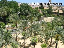 [P08] Cordoba » foto by buburuzica
 - 
<span class="allrVoted glyphicon glyphicon-heart hidden" id="av7129"></span>
<a class="m-l-10 hidden" id="sv7129" onclick="voting_Foto_DelVot(,7129,2304)" role="button">șterge vot <span class="glyphicon glyphicon-remove"></span></a>
<a id="v97129" class=" c-red"  onclick="voting_Foto_SetVot(7129)" role="button"><span class="glyphicon glyphicon-heart-empty"></span> <b>LIKE</b> = Votează poza</a> <img class="hidden"  id="f7129W9" src="/imagini/loader.gif" border="0" /><span class="AjErrMes hidden" id="e7129ErM"></span>