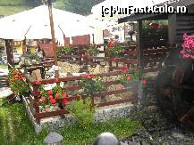 [P11] terasa barului si a restaurantului. » foto by molko*
 - 
<span class="allrVoted glyphicon glyphicon-heart hidden" id="av115263"></span>
<a class="m-l-10 hidden" id="sv115263" onclick="voting_Foto_DelVot(,115263,2309)" role="button">șterge vot <span class="glyphicon glyphicon-remove"></span></a>
<a id="v9115263" class=" c-red"  onclick="voting_Foto_SetVot(115263)" role="button"><span class="glyphicon glyphicon-heart-empty"></span> <b>LIKE</b> = Votează poza</a> <img class="hidden"  id="f115263W9" src="/imagini/loader.gif" border="0" /><span class="AjErrMes hidden" id="e115263ErM"></span>