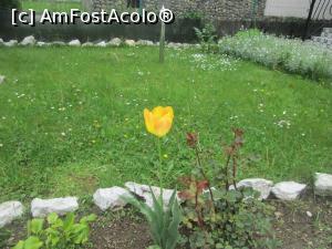 [P06] alta floricica » foto by ile07
 - 
<span class="allrVoted glyphicon glyphicon-heart hidden" id="av743557"></span>
<a class="m-l-10 hidden" id="sv743557" onclick="voting_Foto_DelVot(,743557,2312)" role="button">șterge vot <span class="glyphicon glyphicon-remove"></span></a>
<a id="v9743557" class=" c-red"  onclick="voting_Foto_SetVot(743557)" role="button"><span class="glyphicon glyphicon-heart-empty"></span> <b>LIKE</b> = Votează poza</a> <img class="hidden"  id="f743557W9" src="/imagini/loader.gif" border="0" /><span class="AjErrMes hidden" id="e743557ErM"></span>