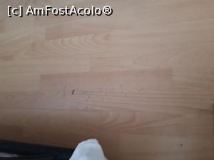 [P07] parchetul pe care aluneca patul pliabil...  » foto by Miky_28
 - 
<span class="allrVoted glyphicon glyphicon-heart hidden" id="av1083580"></span>
<a class="m-l-10 hidden" id="sv1083580" onclick="voting_Foto_DelVot(,1083580,2316)" role="button">șterge vot <span class="glyphicon glyphicon-remove"></span></a>
<a id="v91083580" class=" c-red"  onclick="voting_Foto_SetVot(1083580)" role="button"><span class="glyphicon glyphicon-heart-empty"></span> <b>LIKE</b> = Votează poza</a> <img class="hidden"  id="f1083580W9" src="/imagini/loader.gif" border="0" /><span class="AjErrMes hidden" id="e1083580ErM"></span>