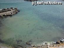 [P03] erau si lebede in mare » foto by inutiu
 - 
<span class="allrVoted glyphicon glyphicon-heart hidden" id="av284478"></span>
<a class="m-l-10 hidden" id="sv284478" onclick="voting_Foto_DelVot(,284478,2316)" role="button">șterge vot <span class="glyphicon glyphicon-remove"></span></a>
<a id="v9284478" class=" c-red"  onclick="voting_Foto_SetVot(284478)" role="button"><span class="glyphicon glyphicon-heart-empty"></span> <b>LIKE</b> = Votează poza</a> <img class="hidden"  id="f284478W9" src="/imagini/loader.gif" border="0" /><span class="AjErrMes hidden" id="e284478ErM"></span>