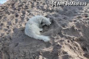 [P15]  -- <small>// FĂRĂ DESCRIERE</small> » foto by andrekuf
 - 
<span class="allrVoted glyphicon glyphicon-heart hidden" id="av360169"></span>
<a class="m-l-10 hidden" id="sv360169" onclick="voting_Foto_DelVot(,360169,2316)" role="button">șterge vot <span class="glyphicon glyphicon-remove"></span></a>
<a id="v9360169" class=" c-red"  onclick="voting_Foto_SetVot(360169)" role="button"><span class="glyphicon glyphicon-heart-empty"></span> <b>LIKE</b> = Votează poza</a> <img class="hidden"  id="f360169W9" src="/imagini/loader.gif" border="0" /><span class="AjErrMes hidden" id="e360169ErM"></span>