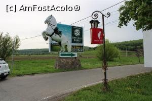 [P01] Daneș Județul Mureș, Panoul indicator spre Dracula Daneș tras de doi frumoși cai albi » foto by mprofeanu
 - 
<span class="allrVoted glyphicon glyphicon-heart hidden" id="av1130765"></span>
<a class="m-l-10 hidden" id="sv1130765" onclick="voting_Foto_DelVot(,1130765,2327)" role="button">șterge vot <span class="glyphicon glyphicon-remove"></span></a>
<a id="v91130765" class=" c-red"  onclick="voting_Foto_SetVot(1130765)" role="button"><span class="glyphicon glyphicon-heart-empty"></span> <b>LIKE</b> = Votează poza</a> <img class="hidden"  id="f1130765W9" src="/imagini/loader.gif" border="0" /><span class="AjErrMes hidden" id="e1130765ErM"></span>