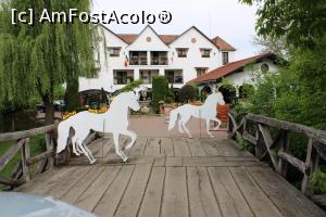 [P03] Daneș Județul Mureș, Domeniul Dracula, Pensiunea Dracula în plan îndepărtat, gazdă de 3 margarete și podul peste o mică apă curgătoare » foto by mprofeanu
 - 
<span class="allrVoted glyphicon glyphicon-heart hidden" id="av1130768"></span>
<a class="m-l-10 hidden" id="sv1130768" onclick="voting_Foto_DelVot(,1130768,2327)" role="button">șterge vot <span class="glyphicon glyphicon-remove"></span></a>
<a id="v91130768" class=" c-red"  onclick="voting_Foto_SetVot(1130768)" role="button"><span class="glyphicon glyphicon-heart-empty"></span> <b>LIKE</b> = Votează poza</a> <img class="hidden"  id="f1130768W9" src="/imagini/loader.gif" border="0" /><span class="AjErrMes hidden" id="e1130768ErM"></span>