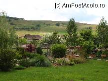 [P17]  -- <small>// FĂRĂ DESCRIERE</small> » foto by susu
 - 
<span class="allrVoted glyphicon glyphicon-heart hidden" id="av231350"></span>
<a class="m-l-10 hidden" id="sv231350" onclick="voting_Foto_DelVot(,231350,2327)" role="button">șterge vot <span class="glyphicon glyphicon-remove"></span></a>
<a id="v9231350" class=" c-red"  onclick="voting_Foto_SetVot(231350)" role="button"><span class="glyphicon glyphicon-heart-empty"></span> <b>LIKE</b> = Votează poza</a> <img class="hidden"  id="f231350W9" src="/imagini/loader.gif" border="0" /><span class="AjErrMes hidden" id="e231350ErM"></span>