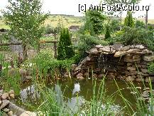 [P19]  -- <small>// FĂRĂ DESCRIERE</small> » foto by susu
 - 
<span class="allrVoted glyphicon glyphicon-heart hidden" id="av231354"></span>
<a class="m-l-10 hidden" id="sv231354" onclick="voting_Foto_DelVot(,231354,2327)" role="button">șterge vot <span class="glyphicon glyphicon-remove"></span></a>
<a id="v9231354" class=" c-red"  onclick="voting_Foto_SetVot(231354)" role="button"><span class="glyphicon glyphicon-heart-empty"></span> <b>LIKE</b> = Votează poza</a> <img class="hidden"  id="f231354W9" src="/imagini/loader.gif" border="0" /><span class="AjErrMes hidden" id="e231354ErM"></span>