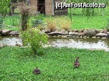 [P20] mini-gradina zoologica de la pensiune » foto by mitzulik
 - 
<span class="allrVoted glyphicon glyphicon-heart hidden" id="av89146"></span>
<a class="m-l-10 hidden" id="sv89146" onclick="voting_Foto_DelVot(,89146,2327)" role="button">șterge vot <span class="glyphicon glyphicon-remove"></span></a>
<a id="v989146" class=" c-red"  onclick="voting_Foto_SetVot(89146)" role="button"><span class="glyphicon glyphicon-heart-empty"></span> <b>LIKE</b> = Votează poza</a> <img class="hidden"  id="f89146W9" src="/imagini/loader.gif" border="0" /><span class="AjErrMes hidden" id="e89146ErM"></span>