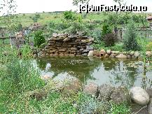 [P05] lac amenajat in cadrul mini-gradinii zoologice de la centrul ecvestru » foto by mitzulik
 - 
<span class="allrVoted glyphicon glyphicon-heart hidden" id="av89118"></span>
<a class="m-l-10 hidden" id="sv89118" onclick="voting_Foto_DelVot(,89118,2327)" role="button">șterge vot <span class="glyphicon glyphicon-remove"></span></a>
<a id="v989118" class=" c-red"  onclick="voting_Foto_SetVot(89118)" role="button"><span class="glyphicon glyphicon-heart-empty"></span> <b>LIKE</b> = Votează poza</a> <img class="hidden"  id="f89118W9" src="/imagini/loader.gif" border="0" /><span class="AjErrMes hidden" id="e89118ErM"></span>
