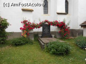 [P45] Sângeorgiu de Pădure - Biserica Reformată, exterior. » foto by iulianic
 - 
<span class="allrVoted glyphicon glyphicon-heart hidden" id="av1373942"></span>
<a class="m-l-10 hidden" id="sv1373942" onclick="voting_Foto_DelVot(,1373942,2330)" role="button">șterge vot <span class="glyphicon glyphicon-remove"></span></a>
<a id="v91373942" class=" c-red"  onclick="voting_Foto_SetVot(1373942)" role="button"><span class="glyphicon glyphicon-heart-empty"></span> <b>LIKE</b> = Votează poza</a> <img class="hidden"  id="f1373942W9" src="/imagini/loader.gif" border="0" /><span class="AjErrMes hidden" id="e1373942ErM"></span>