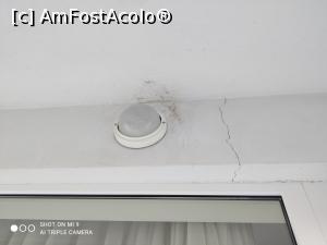 [P01] Minuni pe balcon » foto by Igas
 - 
<span class="allrVoted glyphicon glyphicon-heart hidden" id="av1179272"></span>
<a class="m-l-10 hidden" id="sv1179272" onclick="voting_Foto_DelVot(,1179272,2336)" role="button">șterge vot <span class="glyphicon glyphicon-remove"></span></a>
<a id="v91179272" class=" c-red"  onclick="voting_Foto_SetVot(1179272)" role="button"><span class="glyphicon glyphicon-heart-empty"></span> <b>LIKE</b> = Votează poza</a> <img class="hidden"  id="f1179272W9" src="/imagini/loader.gif" border="0" /><span class="AjErrMes hidden" id="e1179272ErM"></span>