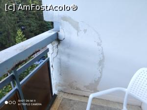 [P04] Minuni pe balcon » foto by Igas
 - 
<span class="allrVoted glyphicon glyphicon-heart hidden" id="av1179275"></span>
<a class="m-l-10 hidden" id="sv1179275" onclick="voting_Foto_DelVot(,1179275,2336)" role="button">șterge vot <span class="glyphicon glyphicon-remove"></span></a>
<a id="v91179275" class=" c-red"  onclick="voting_Foto_SetVot(1179275)" role="button"><span class="glyphicon glyphicon-heart-empty"></span> <b>LIKE</b> = Votează poza</a> <img class="hidden"  id="f1179275W9" src="/imagini/loader.gif" border="0" /><span class="AjErrMes hidden" id="e1179275ErM"></span>
