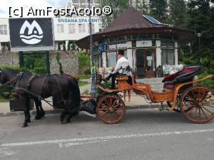 [P06] Prin centrul orașului » foto by istratescu
 - 
<span class="allrVoted glyphicon glyphicon-heart hidden" id="av1319326"></span>
<a class="m-l-10 hidden" id="sv1319326" onclick="voting_Foto_DelVot(,1319326,2339)" role="button">șterge vot <span class="glyphicon glyphicon-remove"></span></a>
<a id="v91319326" class=" c-red"  onclick="voting_Foto_SetVot(1319326)" role="button"><span class="glyphicon glyphicon-heart-empty"></span> <b>LIKE</b> = Votează poza</a> <img class="hidden"  id="f1319326W9" src="/imagini/loader.gif" border="0" /><span class="AjErrMes hidden" id="e1319326ErM"></span>