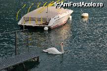 [P02] lacul » foto by mariana
 - 
<span class="allrVoted glyphicon glyphicon-heart hidden" id="av19717"></span>
<a class="m-l-10 hidden" id="sv19717" onclick="voting_Foto_DelVot(,19717,2363)" role="button">șterge vot <span class="glyphicon glyphicon-remove"></span></a>
<a id="v919717" class=" c-red"  onclick="voting_Foto_SetVot(19717)" role="button"><span class="glyphicon glyphicon-heart-empty"></span> <b>LIKE</b> = Votează poza</a> <img class="hidden"  id="f19717W9" src="/imagini/loader.gif" border="0" /><span class="AjErrMes hidden" id="e19717ErM"></span>