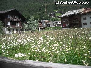 [P11] Margarete de Zermatt » foto by GIN2015*
 - 
<span class="allrVoted glyphicon glyphicon-heart hidden" id="av656969"></span>
<a class="m-l-10 hidden" id="sv656969" onclick="voting_Foto_DelVot(,656969,2363)" role="button">șterge vot <span class="glyphicon glyphicon-remove"></span></a>
<a id="v9656969" class=" c-red"  onclick="voting_Foto_SetVot(656969)" role="button"><span class="glyphicon glyphicon-heart-empty"></span> <b>LIKE</b> = Votează poza</a> <img class="hidden"  id="f656969W9" src="/imagini/loader.gif" border="0" /><span class="AjErrMes hidden" id="e656969ErM"></span>