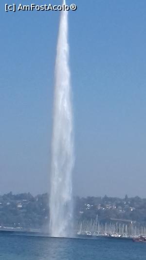 [P01] Un simbol al Genevei - Jet d'Eau » foto by Mitica49
 - 
<span class="allrVoted glyphicon glyphicon-heart hidden" id="av1042933"></span>
<a class="m-l-10 hidden" id="sv1042933" onclick="voting_Foto_DelVot(,1042933,2384)" role="button">șterge vot <span class="glyphicon glyphicon-remove"></span></a>
<a id="v91042933" class=" c-red"  onclick="voting_Foto_SetVot(1042933)" role="button"><span class="glyphicon glyphicon-heart-empty"></span> <b>LIKE</b> = Votează poza</a> <img class="hidden"  id="f1042933W9" src="/imagini/loader.gif" border="0" /><span class="AjErrMes hidden" id="e1042933ErM"></span>