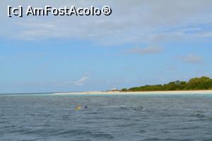 [P46] snorkelind de amiază lângă insula Muthaafushi » foto by barbu minel
 - 
<span class="allrVoted glyphicon glyphicon-heart hidden" id="av712061"></span>
<a class="m-l-10 hidden" id="sv712061" onclick="voting_Foto_DelVot(,712061,2393)" role="button">șterge vot <span class="glyphicon glyphicon-remove"></span></a>
<a id="v9712061" class=" c-red"  onclick="voting_Foto_SetVot(712061)" role="button"><span class="glyphicon glyphicon-heart-empty"></span> <b>LIKE</b> = Votează poza</a> <img class="hidden"  id="f712061W9" src="/imagini/loader.gif" border="0" /><span class="AjErrMes hidden" id="e712061ErM"></span>
