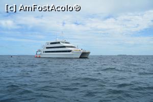 [P47] catamaranul Four Seasons » foto by barbu minel
 - 
<span class="allrVoted glyphicon glyphicon-heart hidden" id="av712062"></span>
<a class="m-l-10 hidden" id="sv712062" onclick="voting_Foto_DelVot(,712062,2393)" role="button">șterge vot <span class="glyphicon glyphicon-remove"></span></a>
<a id="v9712062" class=" c-red"  onclick="voting_Foto_SetVot(712062)" role="button"><span class="glyphicon glyphicon-heart-empty"></span> <b>LIKE</b> = Votează poza</a> <img class="hidden"  id="f712062W9" src="/imagini/loader.gif" border="0" /><span class="AjErrMes hidden" id="e712062ErM"></span>