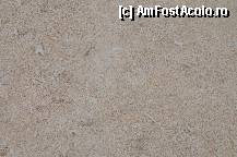 [P47] Coralii care ne-au chinuit rau in prima zi » foto by cristina65
 - 
<span class="allrVoted glyphicon glyphicon-heart hidden" id="av308751"></span>
<a class="m-l-10 hidden" id="sv308751" onclick="voting_Foto_DelVot(,308751,2393)" role="button">șterge vot <span class="glyphicon glyphicon-remove"></span></a>
<a id="v9308751" class=" c-red"  onclick="voting_Foto_SetVot(308751)" role="button"><span class="glyphicon glyphicon-heart-empty"></span> <b>LIKE</b> = Votează poza</a> <img class="hidden"  id="f308751W9" src="/imagini/loader.gif" border="0" /><span class="AjErrMes hidden" id="e308751ErM"></span>