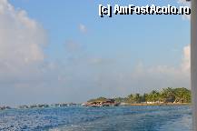[P82] Good bye,Maldive!! Sper sa ne revedem!... » foto by cristina65
 - 
<span class="allrVoted glyphicon glyphicon-heart hidden" id="av308786"></span>
<a class="m-l-10 hidden" id="sv308786" onclick="voting_Foto_DelVot(,308786,2393)" role="button">șterge vot <span class="glyphicon glyphicon-remove"></span></a>
<a id="v9308786" class=" c-red"  onclick="voting_Foto_SetVot(308786)" role="button"><span class="glyphicon glyphicon-heart-empty"></span> <b>LIKE</b> = Votează poza</a> <img class="hidden"  id="f308786W9" src="/imagini/loader.gif" border="0" /><span class="AjErrMes hidden" id="e308786ErM"></span>