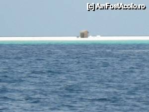 [P12] Asta e insula Robinson Crusoe - se faceau excursii se de pe Kurede - te iau dimineata si te lasa aici, in mijlocul oceanului, cu mancare si apa. Daca te sperii poti sa-i chemi sa te aduca inapoi!!!  » foto by Irina1974
 - 
<span class="allrVoted glyphicon glyphicon-heart hidden" id="av441177"></span>
<a class="m-l-10 hidden" id="sv441177" onclick="voting_Foto_DelVot(,441177,2393)" role="button">șterge vot <span class="glyphicon glyphicon-remove"></span></a>
<a id="v9441177" class=" c-red"  onclick="voting_Foto_SetVot(441177)" role="button"><span class="glyphicon glyphicon-heart-empty"></span> <b>LIKE</b> = Votează poza</a> <img class="hidden"  id="f441177W9" src="/imagini/loader.gif" border="0" /><span class="AjErrMes hidden" id="e441177ErM"></span>