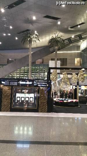 [P07] prin aeroportul din Doha » foto by robert
 - 
<span class="allrVoted glyphicon glyphicon-heart hidden" id="av672374"></span>
<a class="m-l-10 hidden" id="sv672374" onclick="voting_Foto_DelVot(,672374,2393)" role="button">șterge vot <span class="glyphicon glyphicon-remove"></span></a>
<a id="v9672374" class=" c-red"  onclick="voting_Foto_SetVot(672374)" role="button"><span class="glyphicon glyphicon-heart-empty"></span> <b>LIKE</b> = Votează poza</a> <img class="hidden"  id="f672374W9" src="/imagini/loader.gif" border="0" /><span class="AjErrMes hidden" id="e672374ErM"></span>