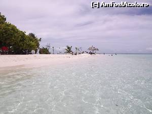 [P10] Aici e paradisul pe pământ » foto by robert
 - 
<span class="allrVoted glyphicon glyphicon-heart hidden" id="av675737"></span>
<a class="m-l-10 hidden" id="sv675737" onclick="voting_Foto_DelVot(,675737,2393)" role="button">șterge vot <span class="glyphicon glyphicon-remove"></span></a>
<a id="v9675737" class=" c-red"  onclick="voting_Foto_SetVot(675737)" role="button"><span class="glyphicon glyphicon-heart-empty"></span> <b>LIKE</b> = Votează poza</a> <img class="hidden"  id="f675737W9" src="/imagini/loader.gif" border="0" /><span class="AjErrMes hidden" id="e675737ErM"></span>