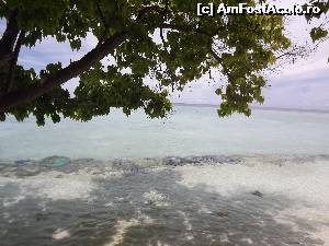 [P12] Aici e paradisul pe pământ » foto by robert
 - 
<span class="allrVoted glyphicon glyphicon-heart hidden" id="av675739"></span>
<a class="m-l-10 hidden" id="sv675739" onclick="voting_Foto_DelVot(,675739,2393)" role="button">șterge vot <span class="glyphicon glyphicon-remove"></span></a>
<a id="v9675739" class=" c-red"  onclick="voting_Foto_SetVot(675739)" role="button"><span class="glyphicon glyphicon-heart-empty"></span> <b>LIKE</b> = Votează poza</a> <img class="hidden"  id="f675739W9" src="/imagini/loader.gif" border="0" /><span class="AjErrMes hidden" id="e675739ErM"></span>