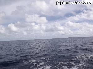 [P24] aici ar trebui sa se vadă dorsala unui delfin; -)  » foto by robert
 - 
<span class="allrVoted glyphicon glyphicon-heart hidden" id="av675751"></span>
<a class="m-l-10 hidden" id="sv675751" onclick="voting_Foto_DelVot(,675751,2393)" role="button">șterge vot <span class="glyphicon glyphicon-remove"></span></a>
<a id="v9675751" class=" c-red"  onclick="voting_Foto_SetVot(675751)" role="button"><span class="glyphicon glyphicon-heart-empty"></span> <b>LIKE</b> = Votează poza</a> <img class="hidden"  id="f675751W9" src="/imagini/loader.gif" border="0" /><span class="AjErrMes hidden" id="e675751ErM"></span>