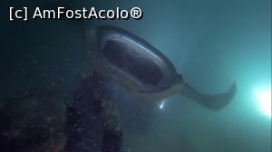 [P14] Manta noaptea » foto by mihai-
 - 
<span class="allrVoted glyphicon glyphicon-heart hidden" id="av717410"></span>
<a class="m-l-10 hidden" id="sv717410" onclick="voting_Foto_DelVot(,717410,2393)" role="button">șterge vot <span class="glyphicon glyphicon-remove"></span></a>
<a id="v9717410" class=" c-red"  onclick="voting_Foto_SetVot(717410)" role="button"><span class="glyphicon glyphicon-heart-empty"></span> <b>LIKE</b> = Votează poza</a> <img class="hidden"  id="f717410W9" src="/imagini/loader.gif" border="0" /><span class="AjErrMes hidden" id="e717410ErM"></span>