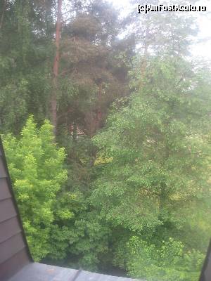 [P14] De la fereastra n-am 'see view', nici ' Dorna river view' ci 'forest view' spre 'parcul cu veverite' » foto by dorgo
 - 
<span class="allrVoted glyphicon glyphicon-heart hidden" id="av627773"></span>
<a class="m-l-10 hidden" id="sv627773" onclick="voting_Foto_DelVot(,627773,2416)" role="button">șterge vot <span class="glyphicon glyphicon-remove"></span></a>
<a id="v9627773" class=" c-red"  onclick="voting_Foto_SetVot(627773)" role="button"><span class="glyphicon glyphicon-heart-empty"></span> <b>LIKE</b> = Votează poza</a> <img class="hidden"  id="f627773W9" src="/imagini/loader.gif" border="0" /><span class="AjErrMes hidden" id="e627773ErM"></span>