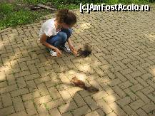 [P03] Parcul din Vatra Dornei » foto by Marian2000*
 - 
<span class="allrVoted glyphicon glyphicon-heart hidden" id="av430520"></span>
<a class="m-l-10 hidden" id="sv430520" onclick="voting_Foto_DelVot(,430520,2424)" role="button">șterge vot <span class="glyphicon glyphicon-remove"></span></a>
<a id="v9430520" class=" c-red"  onclick="voting_Foto_SetVot(430520)" role="button"><span class="glyphicon glyphicon-heart-empty"></span> <b>LIKE</b> = Votează poza</a> <img class="hidden"  id="f430520W9" src="/imagini/loader.gif" border="0" /><span class="AjErrMes hidden" id="e430520ErM"></span>
