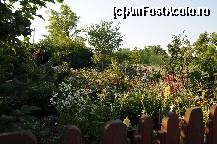 [P14] gradina cu flori » foto by puerto rico
 - 
<span class="allrVoted glyphicon glyphicon-heart hidden" id="av104817"></span>
<a class="m-l-10 hidden" id="sv104817" onclick="voting_Foto_DelVot(,104817,2439)" role="button">șterge vot <span class="glyphicon glyphicon-remove"></span></a>
<a id="v9104817" class=" c-red"  onclick="voting_Foto_SetVot(104817)" role="button"><span class="glyphicon glyphicon-heart-empty"></span> <b>LIKE</b> = Votează poza</a> <img class="hidden"  id="f104817W9" src="/imagini/loader.gif" border="0" /><span class="AjErrMes hidden" id="e104817ErM"></span>