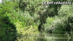 [P23] Pe canale... magnific » foto by allina
 - 
<span class="allrVoted glyphicon glyphicon-heart hidden" id="av354269"></span>
<a class="m-l-10 hidden" id="sv354269" onclick="voting_Foto_DelVot(,354269,2439)" role="button">șterge vot <span class="glyphicon glyphicon-remove"></span></a>
<a id="v9354269" class=" c-red"  onclick="voting_Foto_SetVot(354269)" role="button"><span class="glyphicon glyphicon-heart-empty"></span> <b>LIKE</b> = Votează poza</a> <img class="hidden"  id="f354269W9" src="/imagini/loader.gif" border="0" /><span class="AjErrMes hidden" id="e354269ErM"></span>