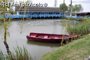 [P24] Satul pescăresc » foto by pepsi70ro
 - 
<span class="allrVoted glyphicon glyphicon-heart hidden" id="av851101"></span>
<a class="m-l-10 hidden" id="sv851101" onclick="voting_Foto_DelVot(,851101,2441)" role="button">șterge vot <span class="glyphicon glyphicon-remove"></span></a>
<a id="v9851101" class=" c-red"  onclick="voting_Foto_SetVot(851101)" role="button"><span class="glyphicon glyphicon-heart-empty"></span> <b>LIKE</b> = Votează poza</a> <img class="hidden"  id="f851101W9" src="/imagini/loader.gif" border="0" /><span class="AjErrMes hidden" id="e851101ErM"></span>