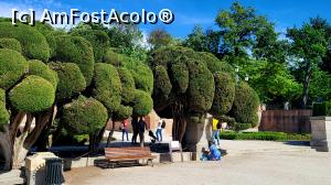 [P46] Un colț de Grădina Parterre » foto by k-lator
 - 
<span class="allrVoted glyphicon glyphicon-heart hidden" id="av1376211"></span>
<a class="m-l-10 hidden" id="sv1376211" onclick="voting_Foto_DelVot(,1376211,2442)" role="button">șterge vot <span class="glyphicon glyphicon-remove"></span></a>
<a id="v91376211" class=" c-red"  onclick="voting_Foto_SetVot(1376211)" role="button"><span class="glyphicon glyphicon-heart-empty"></span> <b>LIKE</b> = Votează poza</a> <img class="hidden"  id="f1376211W9" src="/imagini/loader.gif" border="0" /><span class="AjErrMes hidden" id="e1376211ErM"></span>