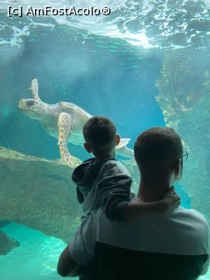 [P25] Zoo Madrid » foto by Catalina E
 - 
<span class="allrVoted glyphicon glyphicon-heart hidden" id="av1366100"></span>
<a class="m-l-10 hidden" id="sv1366100" onclick="voting_Foto_DelVot(,1366100,2442)" role="button">șterge vot <span class="glyphicon glyphicon-remove"></span></a>
<a id="v91366100" class=" c-red"  onclick="voting_Foto_SetVot(1366100)" role="button"><span class="glyphicon glyphicon-heart-empty"></span> <b>LIKE</b> = Votează poza</a> <img class="hidden"  id="f1366100W9" src="/imagini/loader.gif" border="0" /><span class="AjErrMes hidden" id="e1366100ErM"></span>