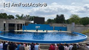 [P05] Zoo Madrid » foto by Catalina E
 - 
<span class="allrVoted glyphicon glyphicon-heart hidden" id="av1366080"></span>
<a class="m-l-10 hidden" id="sv1366080" onclick="voting_Foto_DelVot(,1366080,2442)" role="button">șterge vot <span class="glyphicon glyphicon-remove"></span></a>
<a id="v91366080" class=" c-red"  onclick="voting_Foto_SetVot(1366080)" role="button"><span class="glyphicon glyphicon-heart-empty"></span> <b>LIKE</b> = Votează poza</a> <img class="hidden"  id="f1366080W9" src="/imagini/loader.gif" border="0" /><span class="AjErrMes hidden" id="e1366080ErM"></span>