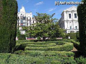 [P15] magnolie in piata de Oriente » foto by barbu minel
 - 
<span class="allrVoted glyphicon glyphicon-heart hidden" id="av338292"></span>
<a class="m-l-10 hidden" id="sv338292" onclick="voting_Foto_DelVot(,338292,2442)" role="button">șterge vot <span class="glyphicon glyphicon-remove"></span></a>
<a id="v9338292" class=" c-red"  onclick="voting_Foto_SetVot(338292)" role="button"><span class="glyphicon glyphicon-heart-empty"></span> <b>LIKE</b> = Votează poza</a> <img class="hidden"  id="f338292W9" src="/imagini/loader.gif" border="0" /><span class="AjErrMes hidden" id="e338292ErM"></span>